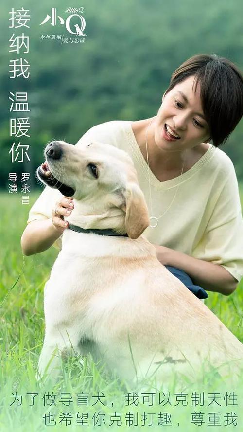 日本薬科大学硕士学位证